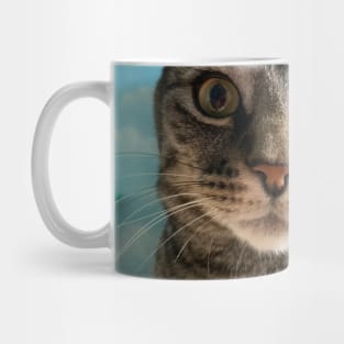 Close Up Kitty Mug